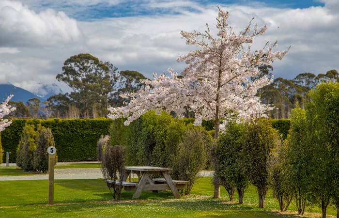 The beautiful setting of the motorhome park