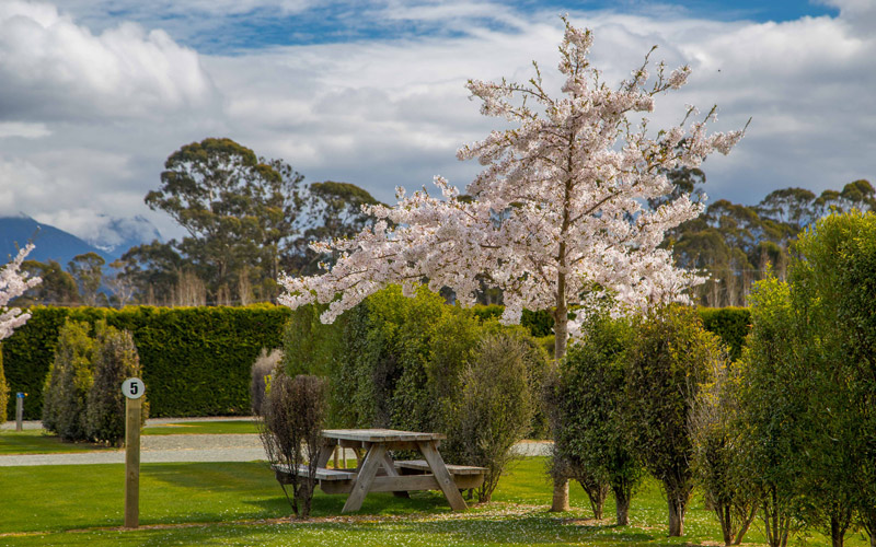 A picnic table at our motorhome accommodation