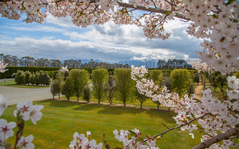 Spring well underway at the park